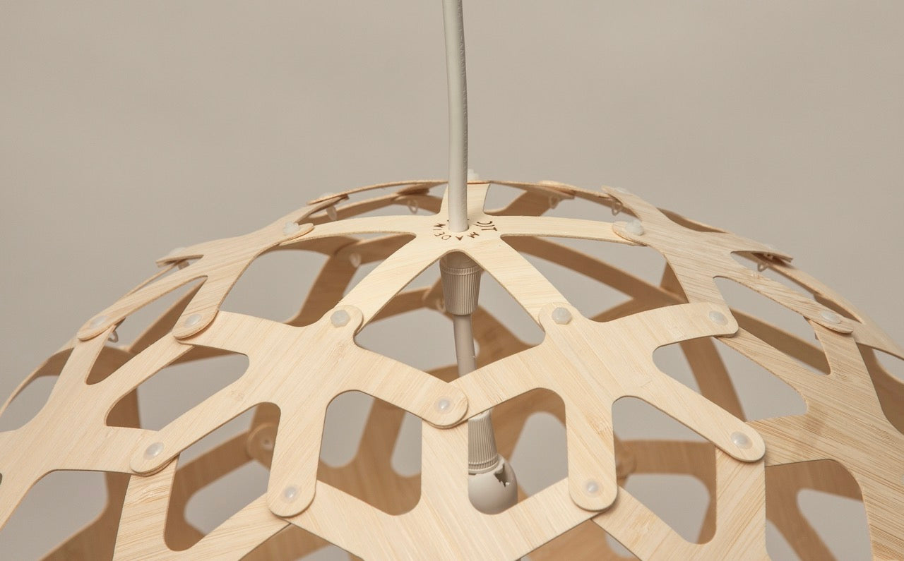 Coral Pendant Light - David Trubridge