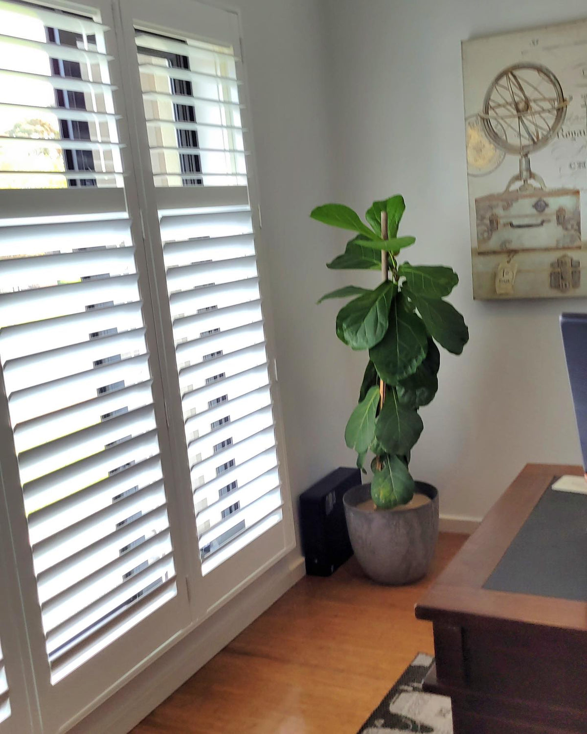 Store Shutter Shutters – Enrich Interiors